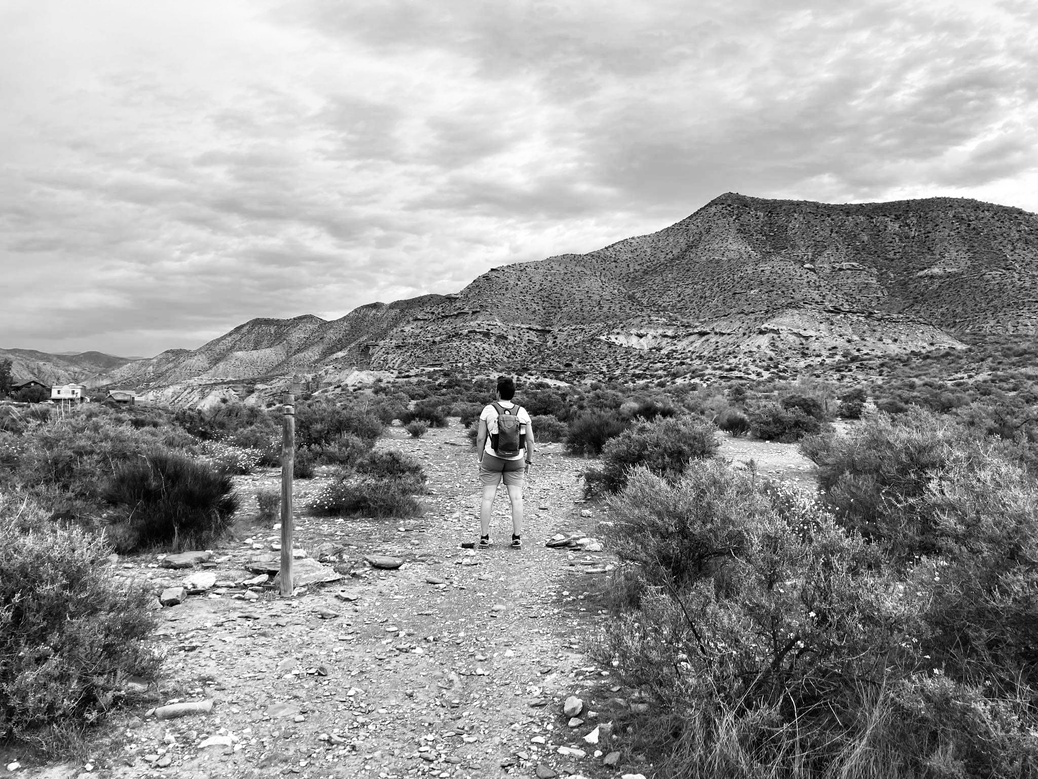 20230618_192247963_iOS 2.jpg